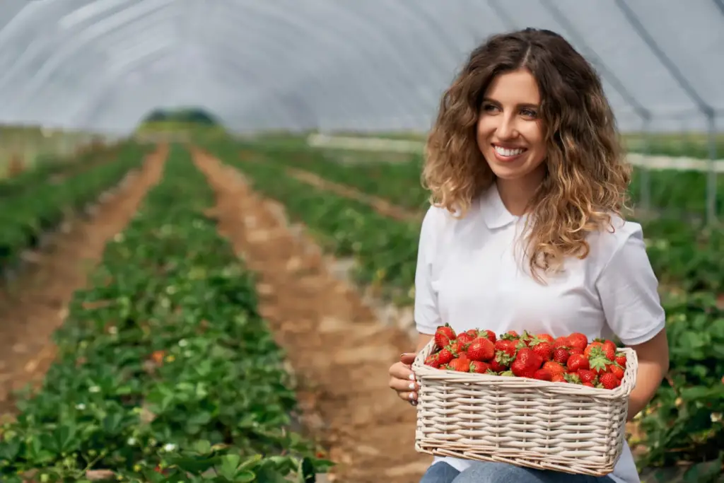 Uśmiechnięta kobieta z koszykiem truskawek na plantacji